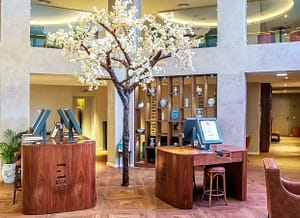 projeto-carpintaria-eva